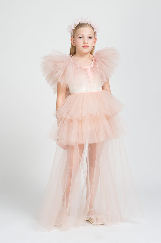 Rochie Butterfly in Pink